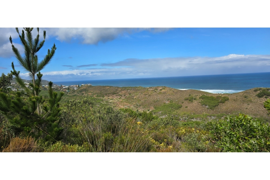 0 Bedroom Property for Sale in Brenton On Sea Western Cape